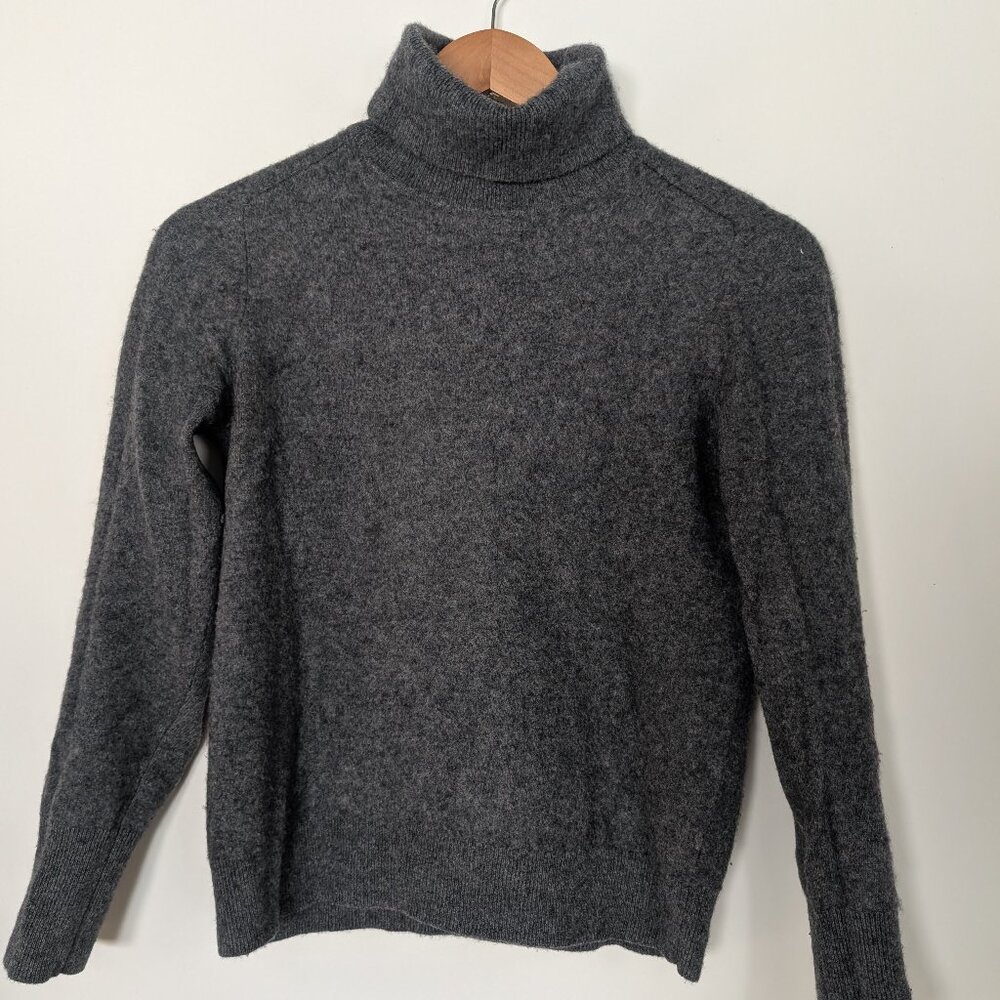 Everlane 100% Cashmere Turtleneck